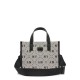 Big Dia MONOGRAM Jacquard S-Tote Bag NEW YORK YANKEES